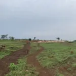 Update vom Schulbau im März – PMCO Uganda e.V.