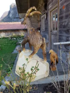 Steinbock-scaled