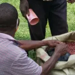 Wir verteilen Essen an unsere Familien – PMCO Uganda e.V.