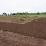 Update on school construction in September – PMCO Uganda e.V.