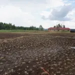 Update on school construction in September – PMCO Uganda e.V.