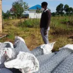 Update on school construction in September – PMCO Uganda e.V.