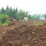Update on school construction in October – PMCO Uganda e.V.