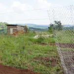 Update on school construction in October – PMCO Uganda e.V.