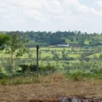 Update on school construction in October – PMCO Uganda e.V.