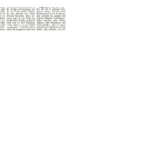 Badisches Tagblatt_Seite_2