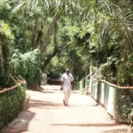 Wir fahren in den Zoo – PMCO Uganda e.V.