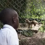 Wir fahren in den Zoo – PMCO Uganda e.V.