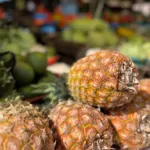 Highlight: das Essen auf dem Campus – PMCO Uganda e.V.